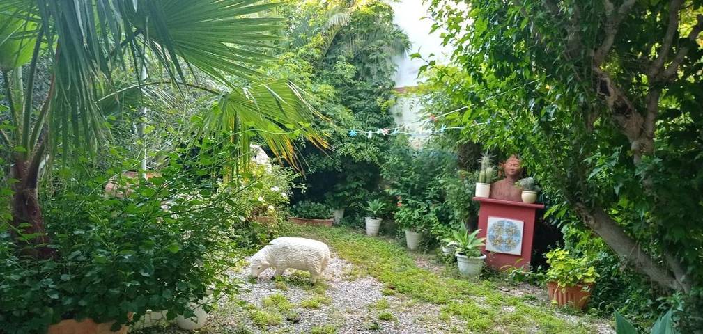 Location de vacances pour 3 personnes, avec vue et jardin, adapté aux familles à Burriana - 2