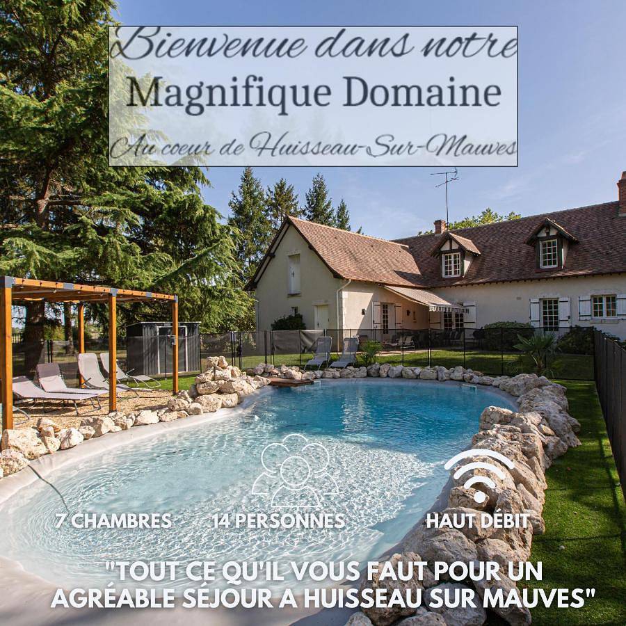 Le Domaine de Baracas - Le Grand Gîte 4 étoiles - piscine-billard-baby-foot-cheminée - 14 personnes in Huisseau-sur-Mauves, Vallée de la Loire