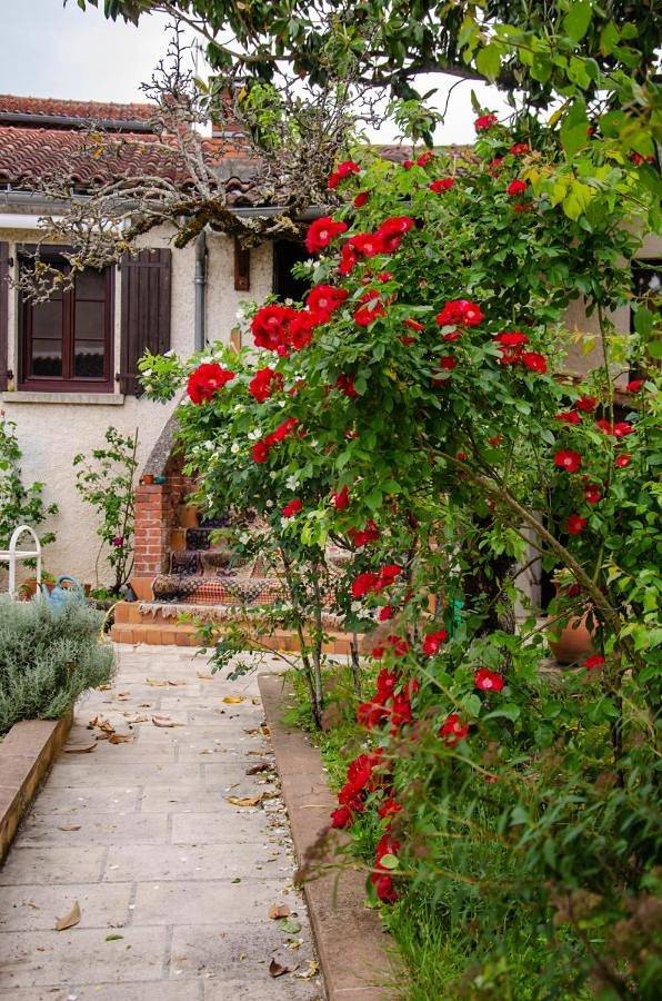 Appartement de vacances entier, Double Room with Pool View in Saint-Benoît-de-Carmaux, Région d'Albi