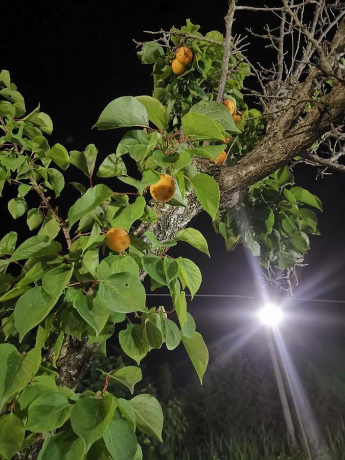 Dimora Elisabetta casa a pochi passi dal mare in Pontecagnano Faiano, Costa tirrenica Campania