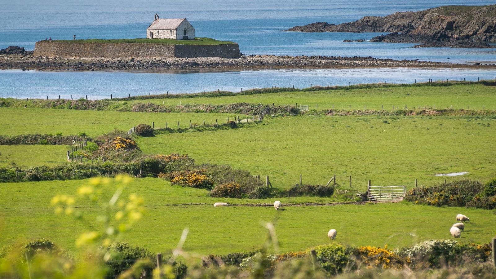 Bryntirion Wyn in Isle of Anglesey
