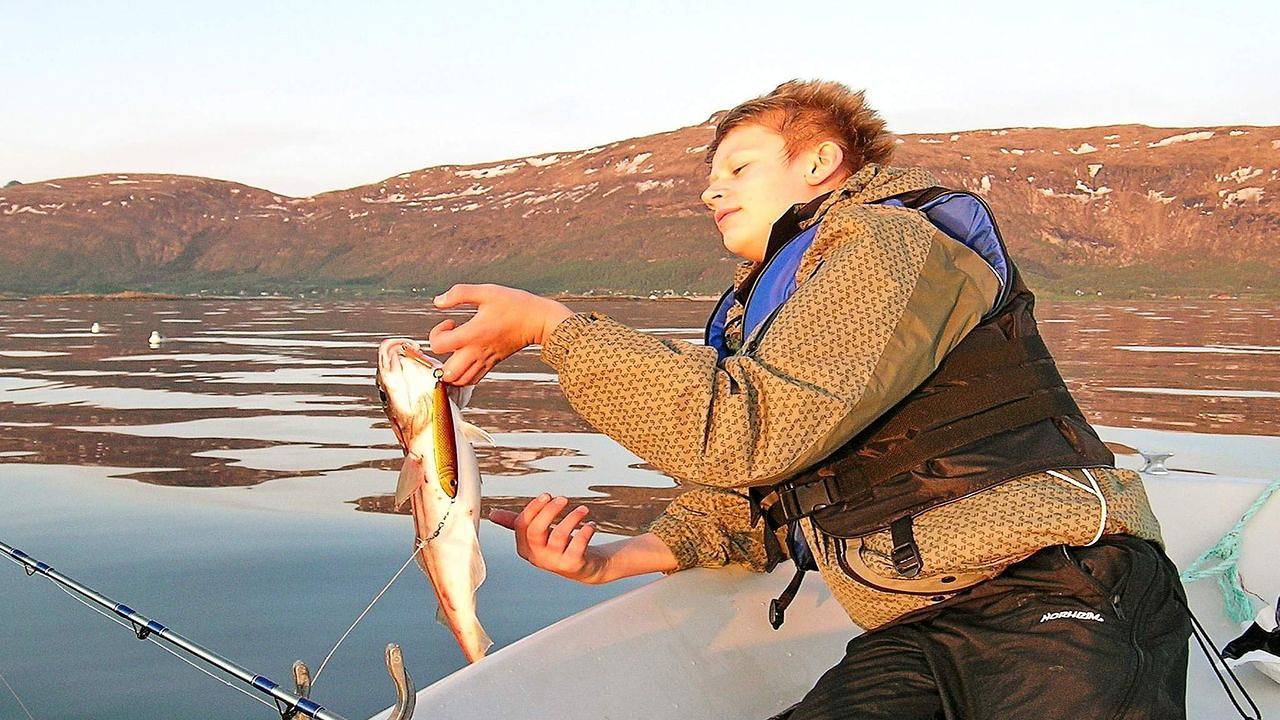 Ferienhaus für 5 Personen (58 m²) in Laupstad in Hadsel