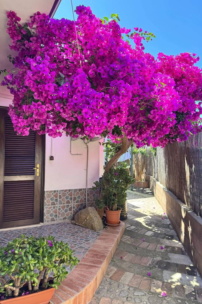 Glamping per 2 persone, con giardino in Calabria