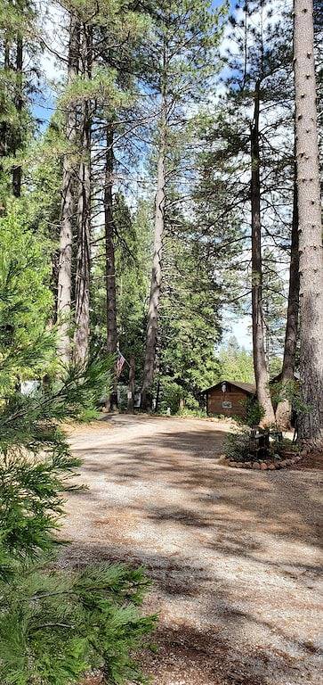 Glamping for 6 people, with pets in Northern California