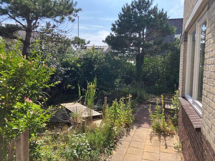 Villa für 6 Personen, mit Terrasse und Garten in Bergen aan Zee - 3