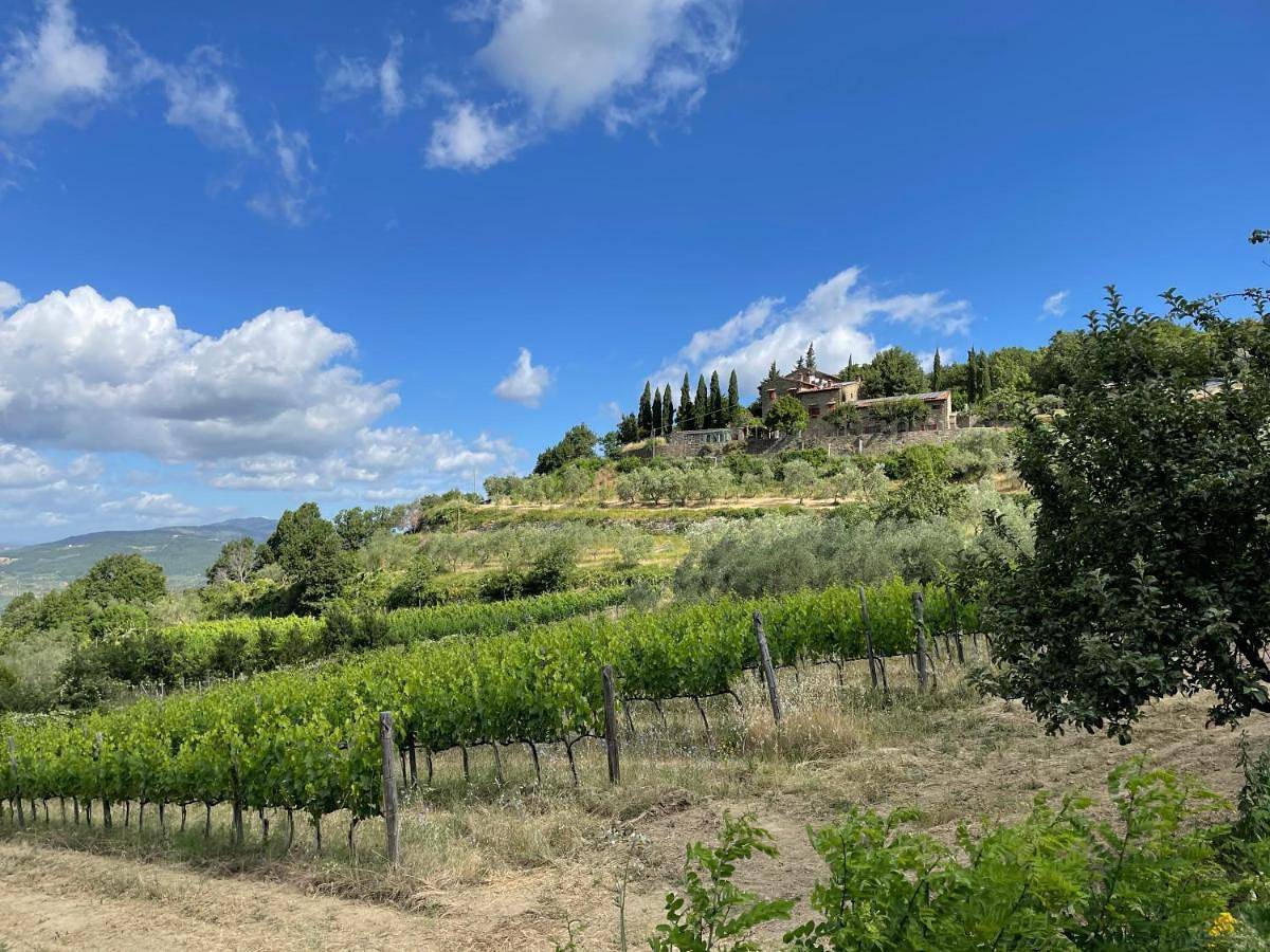 Agriturismo Podere Querceto in Rufina, Prowincja Florencja