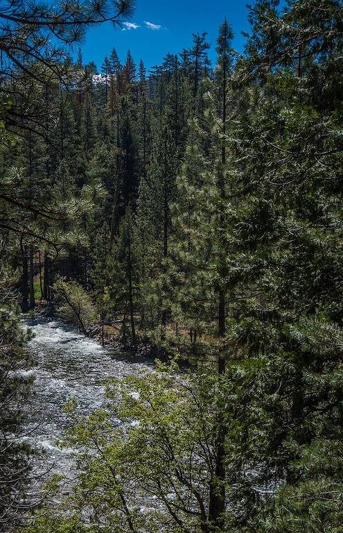 Yosemite Riverside Retreat - Gorgeous Views! Wood burning Stove! in Wawona, Mariposa County