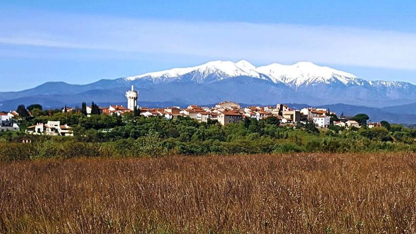 Location de vacances pour 4 personnes, avec piscine ainsi que jacuzzi et jardin, adapté aux familles à Banyuls-dels-Aspres - 3