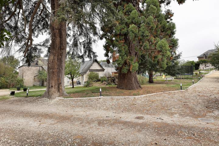 Ganze Wohnung, Gîte „La Glycine“ für 2 Personen mit beheiztem Pool von Mitte Mai bis September in Veuves, Blois und Umgebung