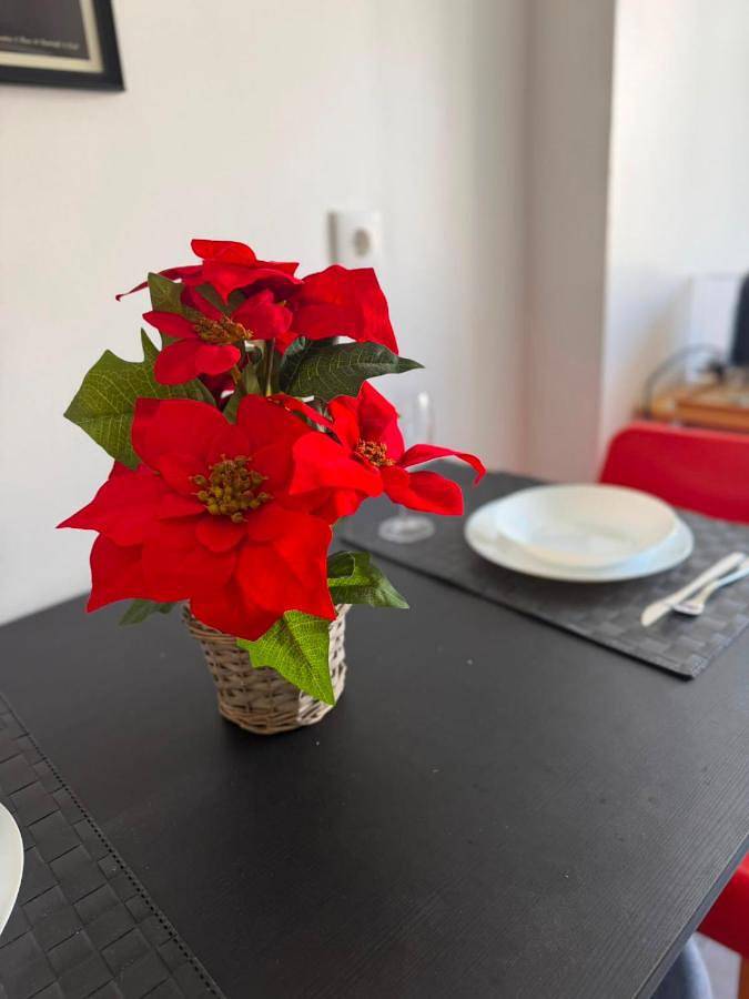 Apartamento de férias inteiro, Estrela de Almada in Almada, Halbinsel von Setúbal