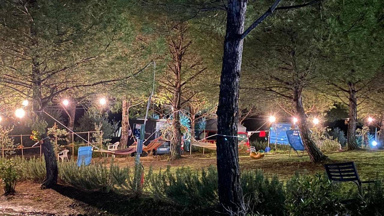Agricamping Poggio Ai Pini Wine Camping in Certaldo, Chianti
