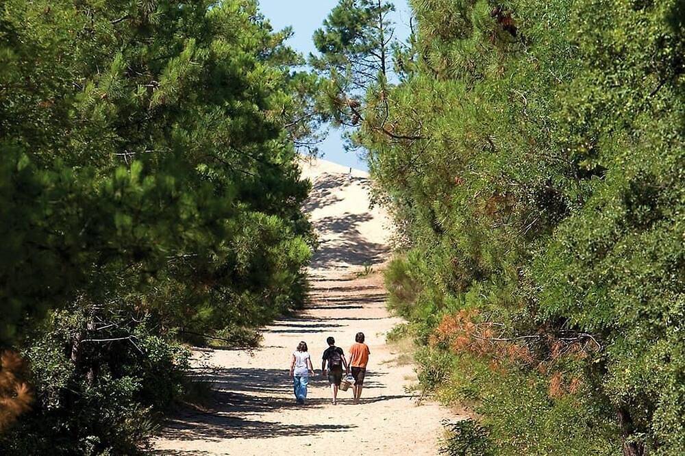 Le Galon d'Or - newly renovated vacation home. Ideally located in La Tremblade, Côte de Beauté