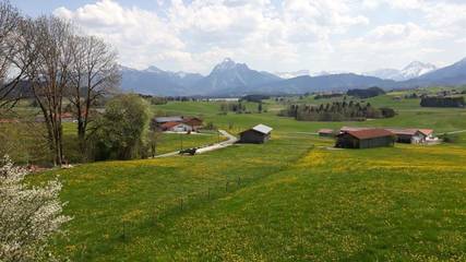 Ferienwohnung für 3 Personen, mit Garten und Sauna sowie Whirlpool, mit Haustier in Hopferau