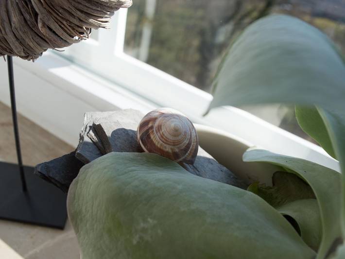 Hütte für 4 Personen, mit Sauna in der Eifel - 4