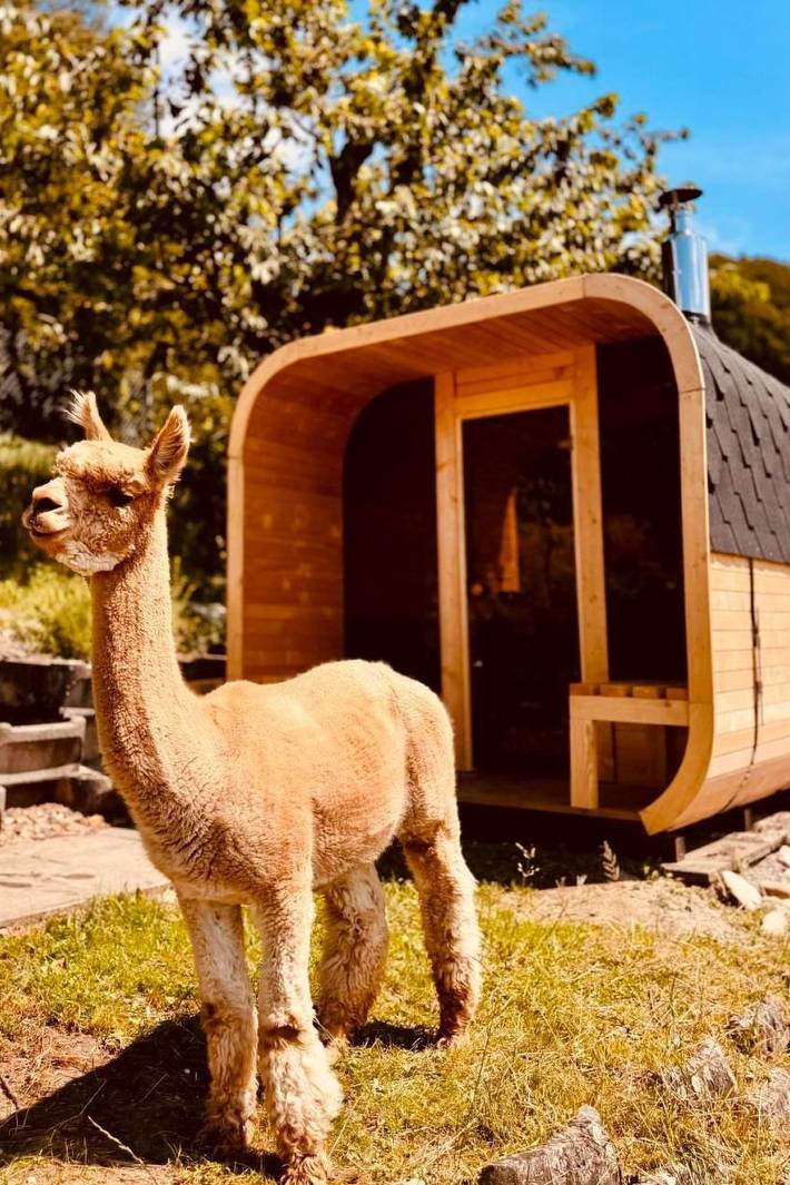 Ferienhaus für 13 Personen, mit Sauna und Garten, mit Haustier