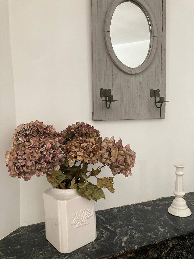 Gîte pour 4 personnes, avec jardin ainsi que piscine et terrasse, animaux acceptés à Châteauneuf-du-Rhône - 4