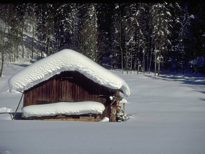 Ganze Ferienwohnung, Geiger Reinhilde - Ferienwohnung Jägerheim - Ferienwohnung 1 in Bregenzerwald (Vorarlberg), Schoppernau