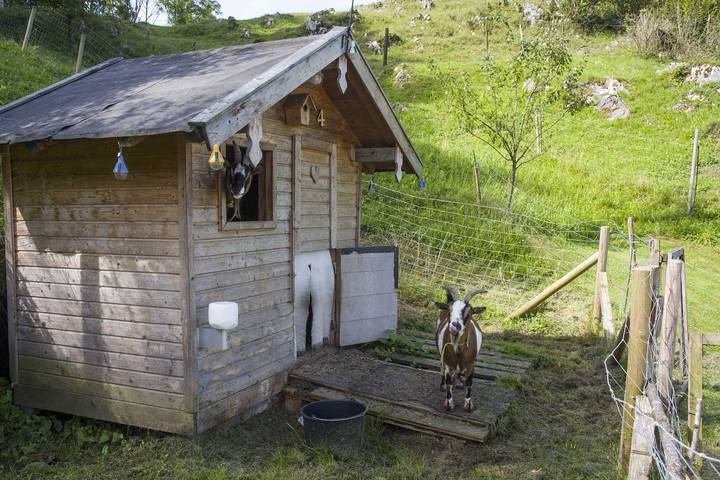 Ferienhaus für 2 Personen, mit Balkon und Terrasse sowie Garten in Oberaudorf - 4