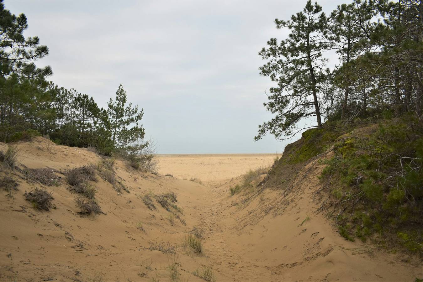 Cozy studio with sea view in Lignano Sabbiadoro, foto 12
