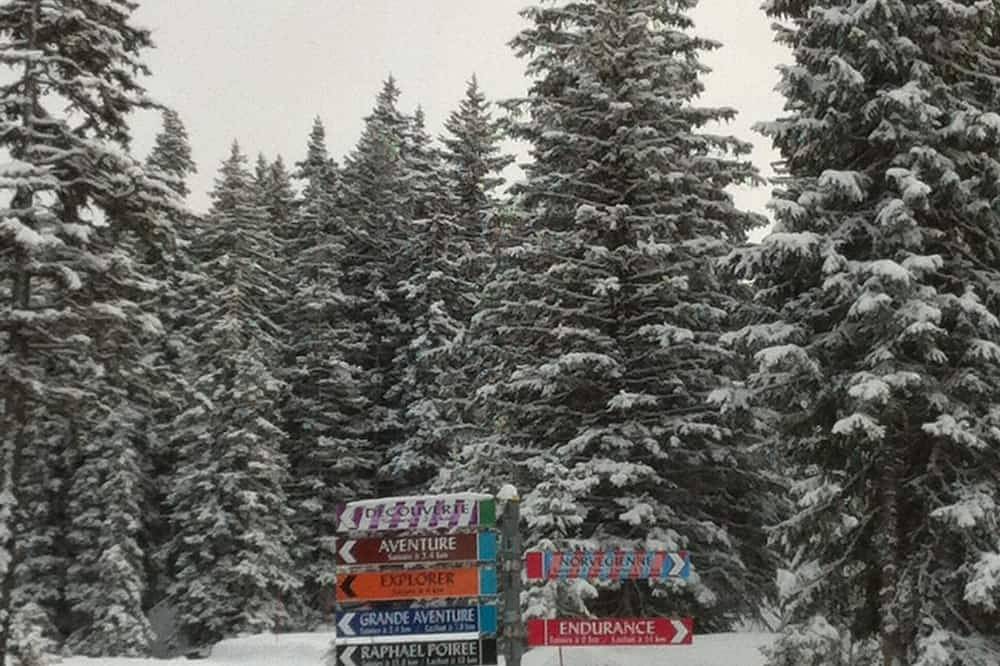 Appartamento intero, Les Saisies, disponibile gennaio e marzo, 4 persone, centro della località in Les Saisies, Albertville e dintorni