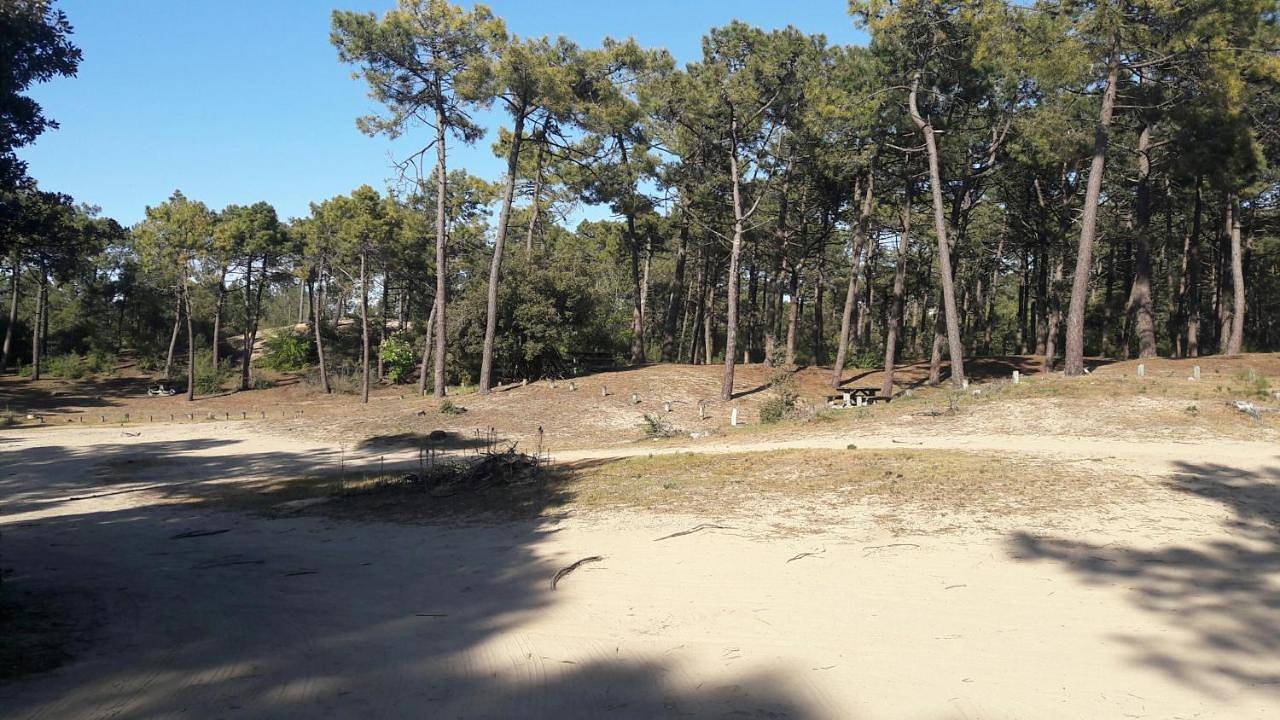 Camping de la Rive in Notre-Dame-de-Monts, Vendée