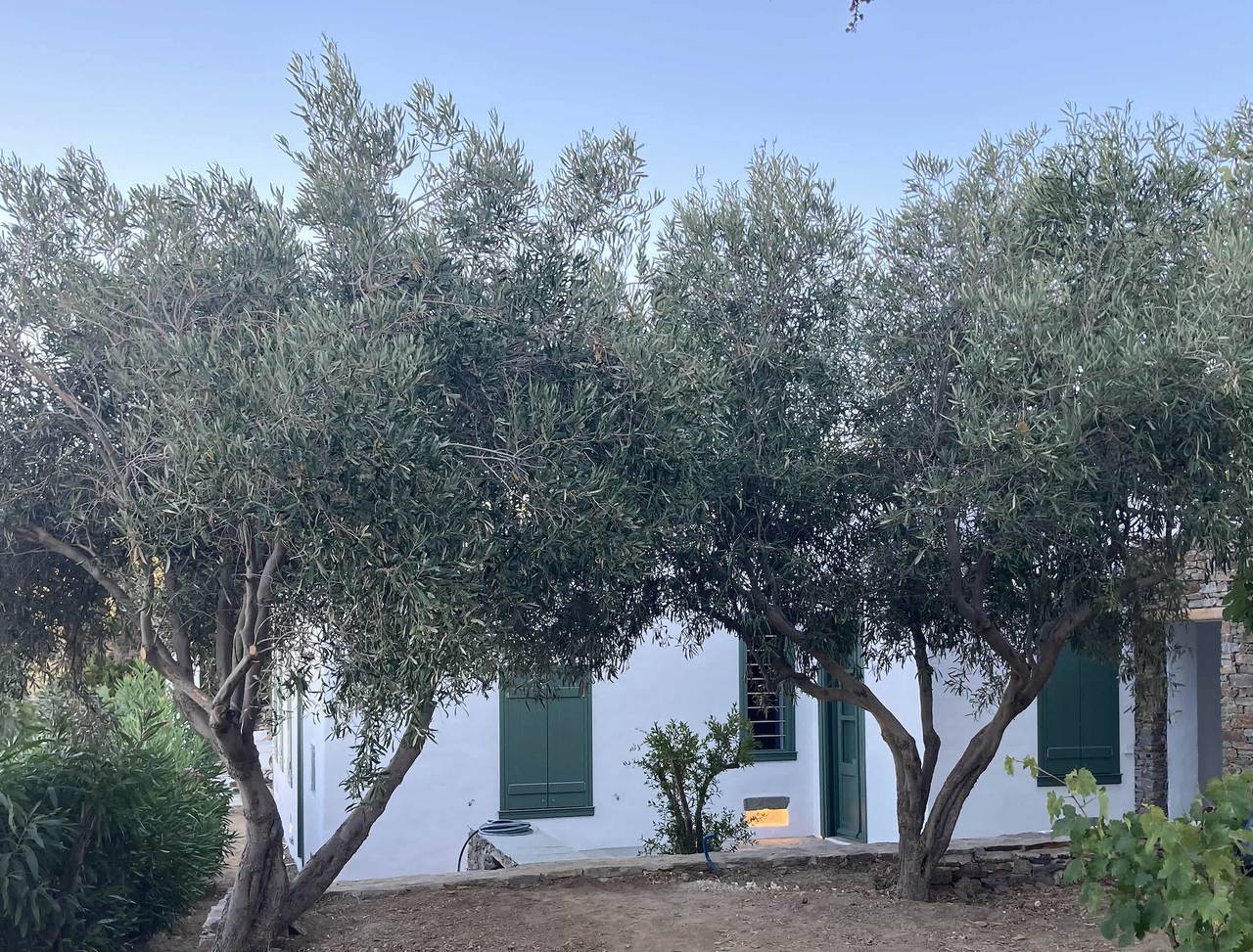 #Hh02 Olive House in Apollonia in Apollonia, Cícladas