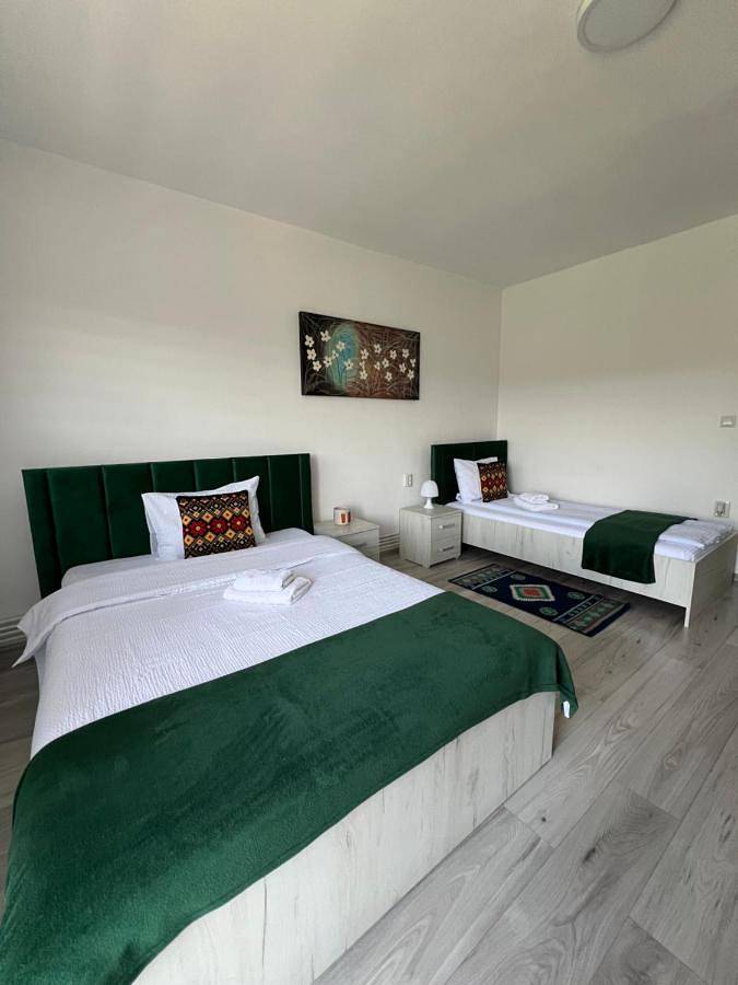 Location de vacances pour 4 personnes, avec terrasse et jardin à Alba (Romania) - 3