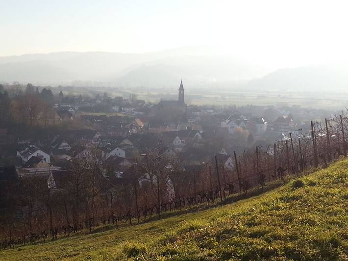 Gästehaus Tagescafe Eckenfels - Einzelzimmer mit Wc und Dusche/Bad in Ohlsbach, Kinzigtal