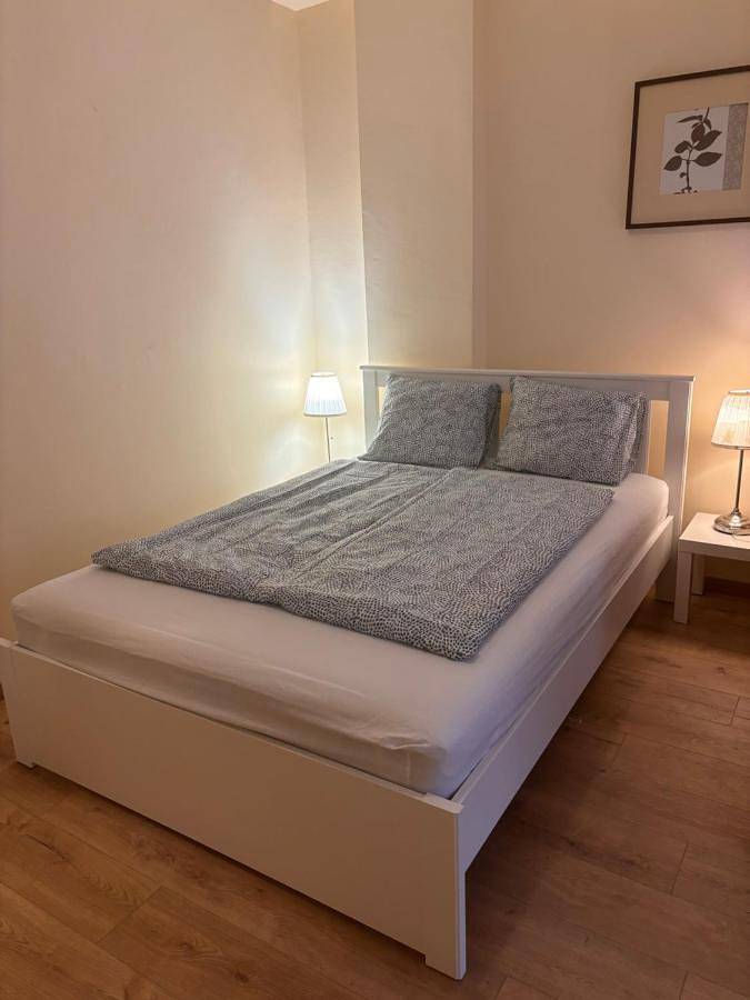 Chambre d’hôte pour 2 personnes, avec terrasse à Vecsés - 3