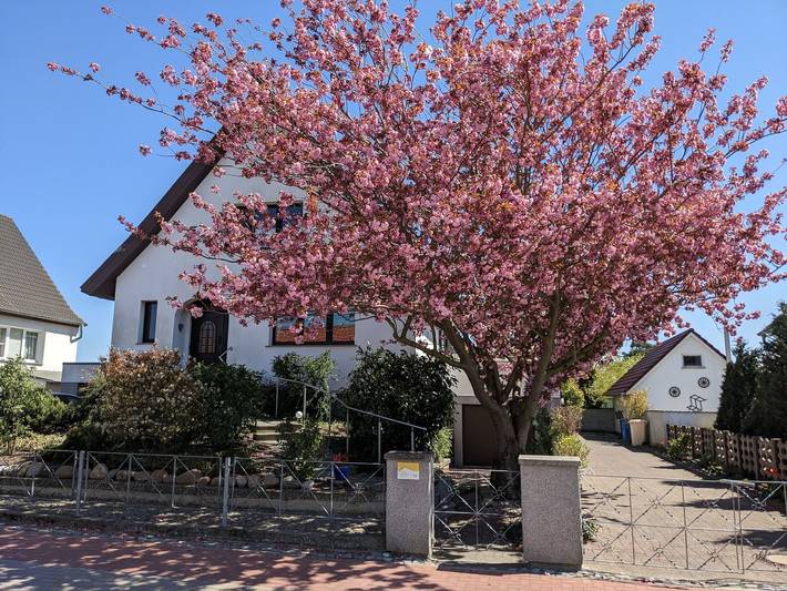 Ferienhaus für 6 Personen, mit Terrasse und Garten in Karlshagen - 4