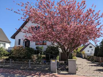 Ferienhaus für 6 Personen in Karlshagen, Usedom, Bild 4
