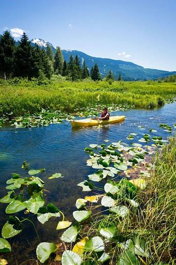 Glamping for 8 Guests in Whistler, Whistler Blackcomb, Picture 4