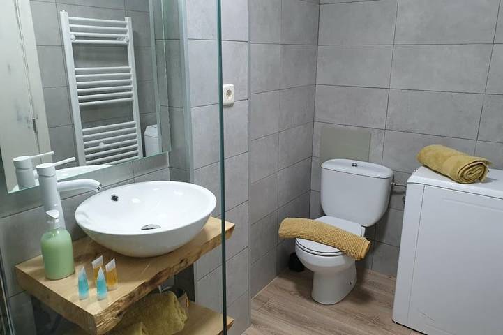 Ganze Wohnung, Schöne Wohnung mit privater Garage direkt an der Piste in Candanchú, Aisa