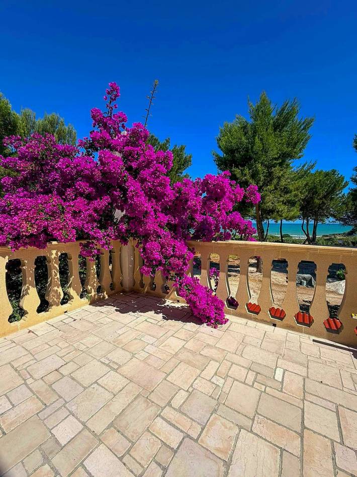 Villa nella pineta a due passi dal mare in Rodi Garganico, Gargano