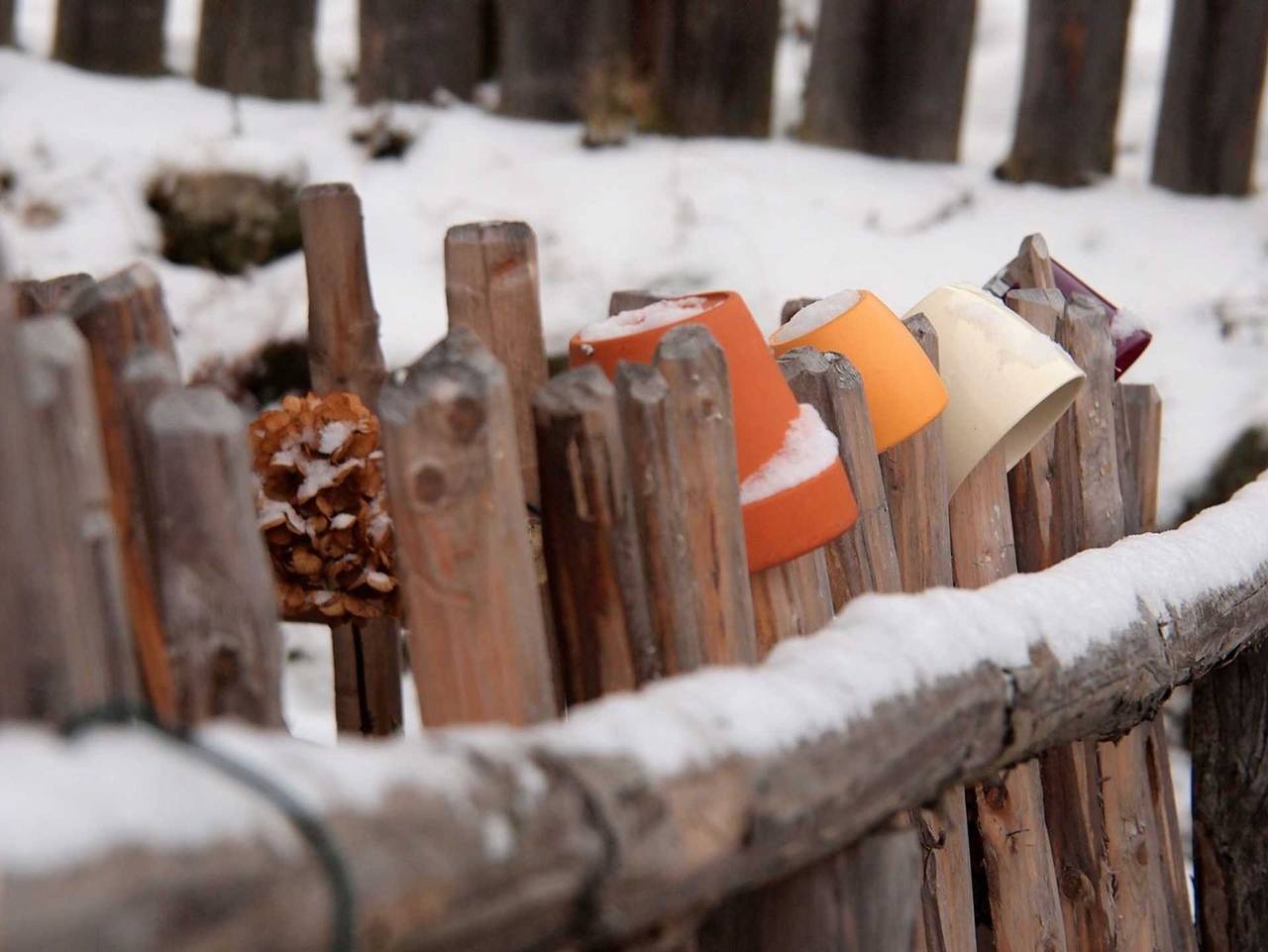 Kronaushof - Jagahaus in Sankt Corona am Wechsel, Wiener Alpen