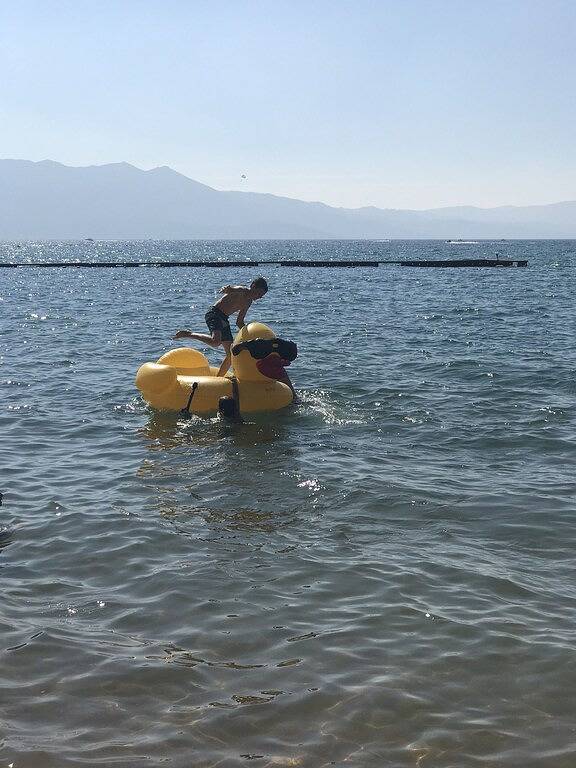 Gw-Premium Location: Zu Fuß zu Casinos, Strand, Restaurants-3Br / 2Ba-Remodeled in South Lake Tahoe, Heavenly