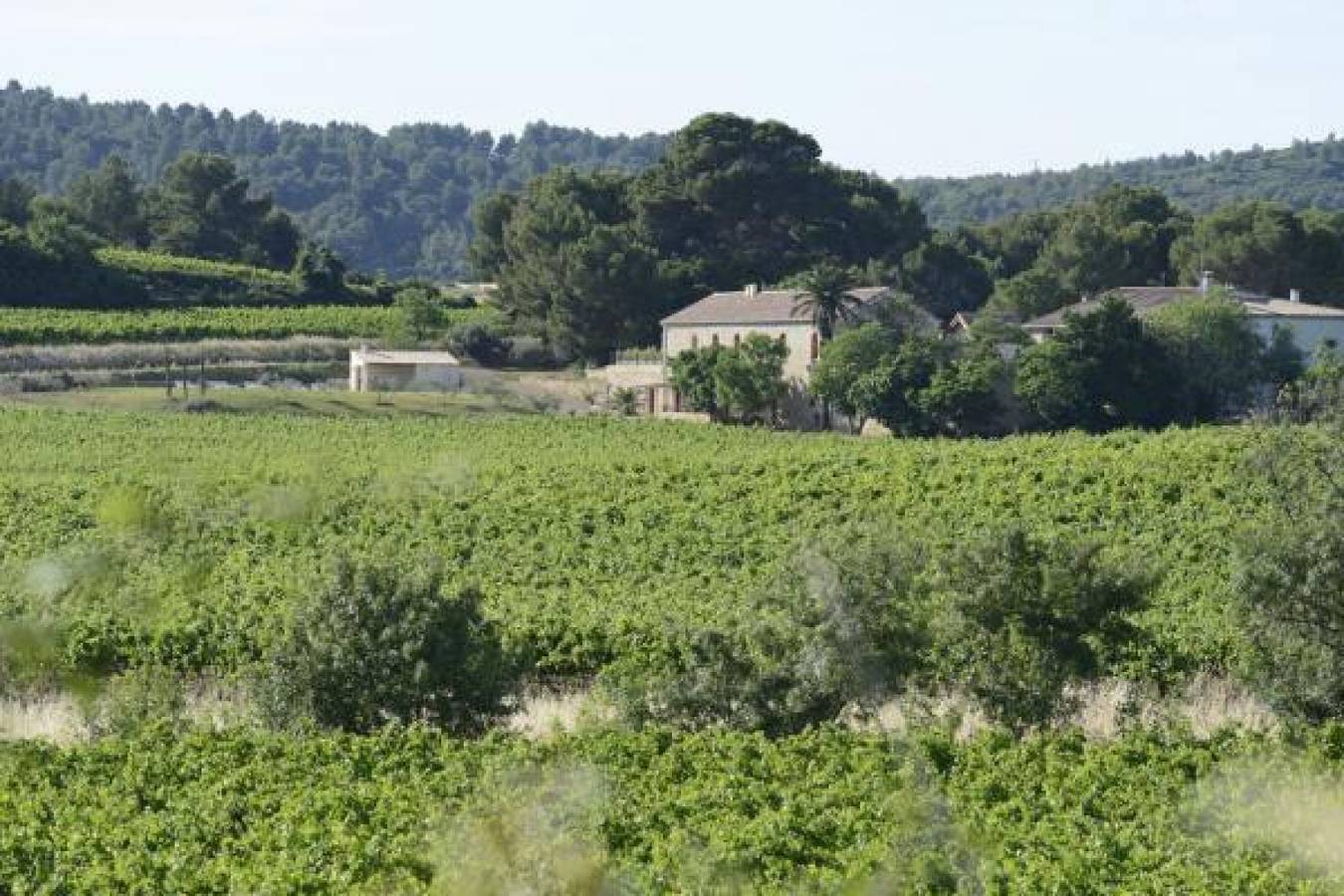 Le Pigeonnier in Villeveyrac, Côte méditerranéenne (France)