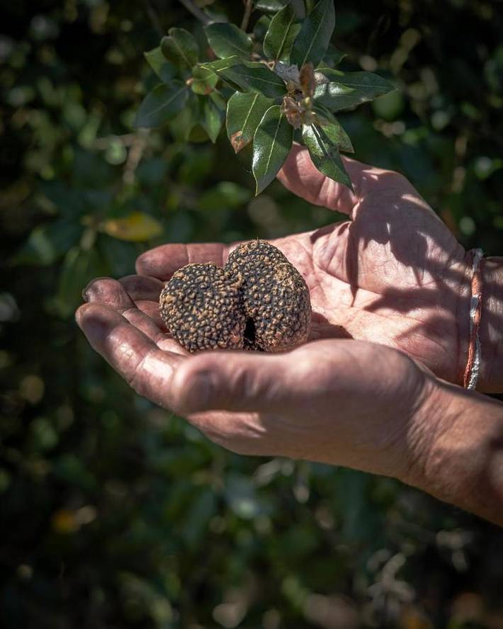 Location de vacances pour 6 personnes, avec vue ainsi que piscine et jardin à Salon (Dordogne) - 3