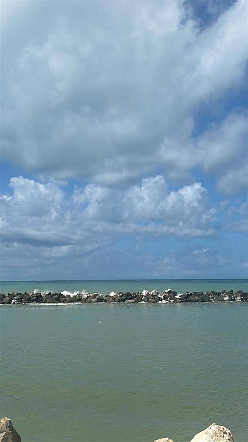 Location de vacances pour 3 personnes, avec jardin à Pise - 3