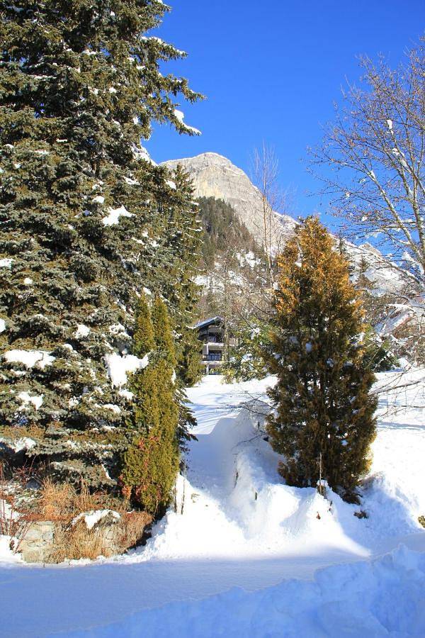 Gîte pour 4 personnes, avec balcon ainsi que vue et jardin à Passy - 2