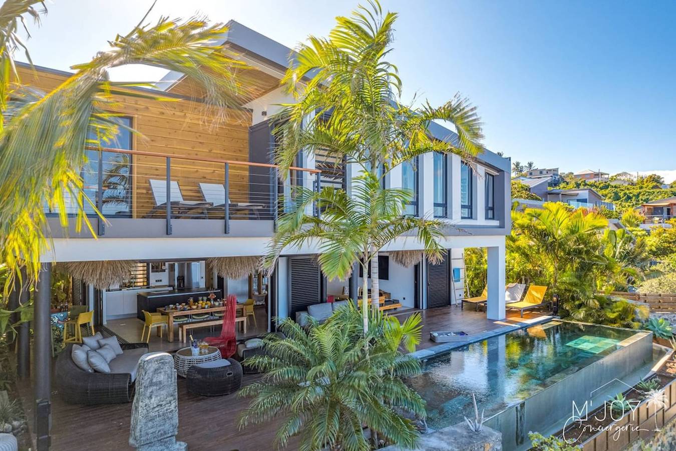 Coco Palm in Grands-Bois, Saint-Pierre (Réunion)
