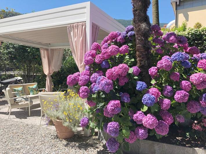 Hotel für 3 Personen, mit Ausblick und Garten in Comune di Cannobio