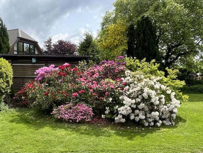 Ferienhaus für 4 Personen, mit Terrasse und Garten sowie Sauna in Grebin - 4