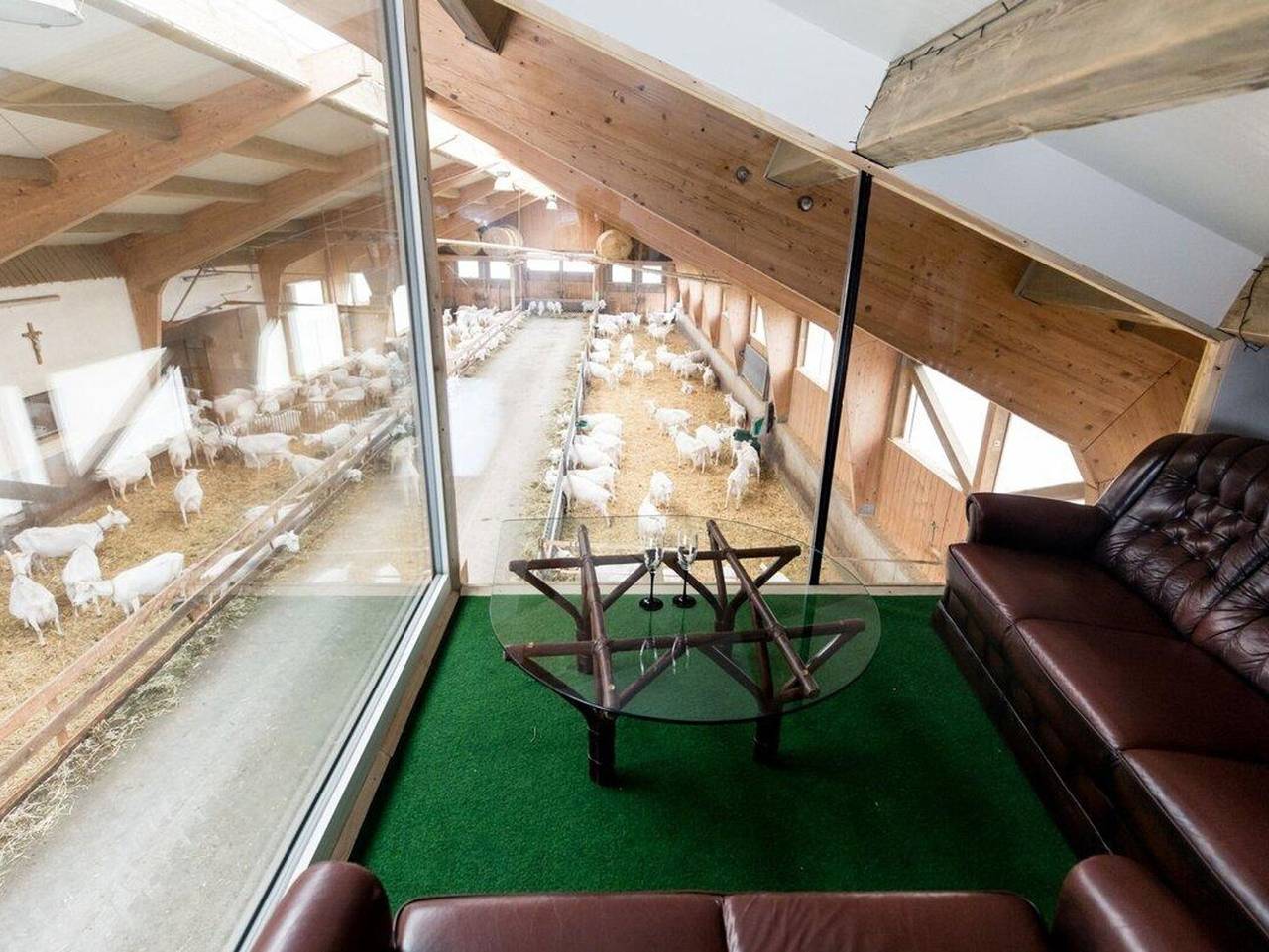 Ganze Ferienwohnung, Urlaub am Ziegenhof - Adults only - Ferienwohnung "Schweinchenwohnung" in Schlierbach, Kirchdorf an der Krems (Bezirk)