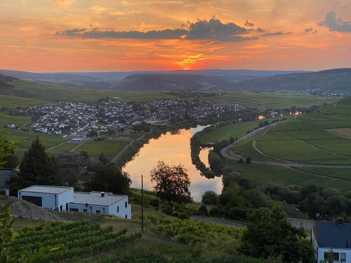 Ferienwohnung für 2 Personen, mit Terrasse und Garten in Leiwen - 4