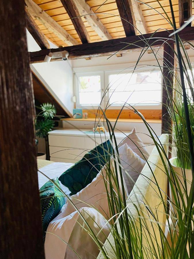 Ferienhaus für 5 Personen, mit Terrasse in Wiesbaden - 4