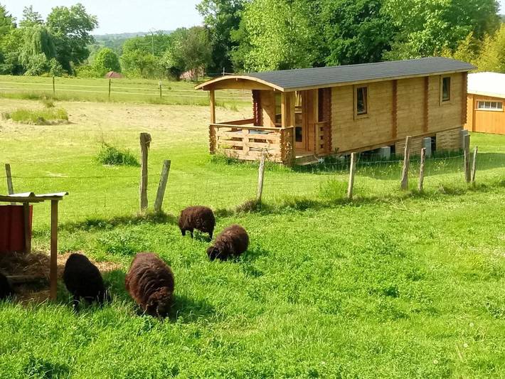 Chalet pour 4 personnes, avec Terrasse ainsi que Piscine et Vue