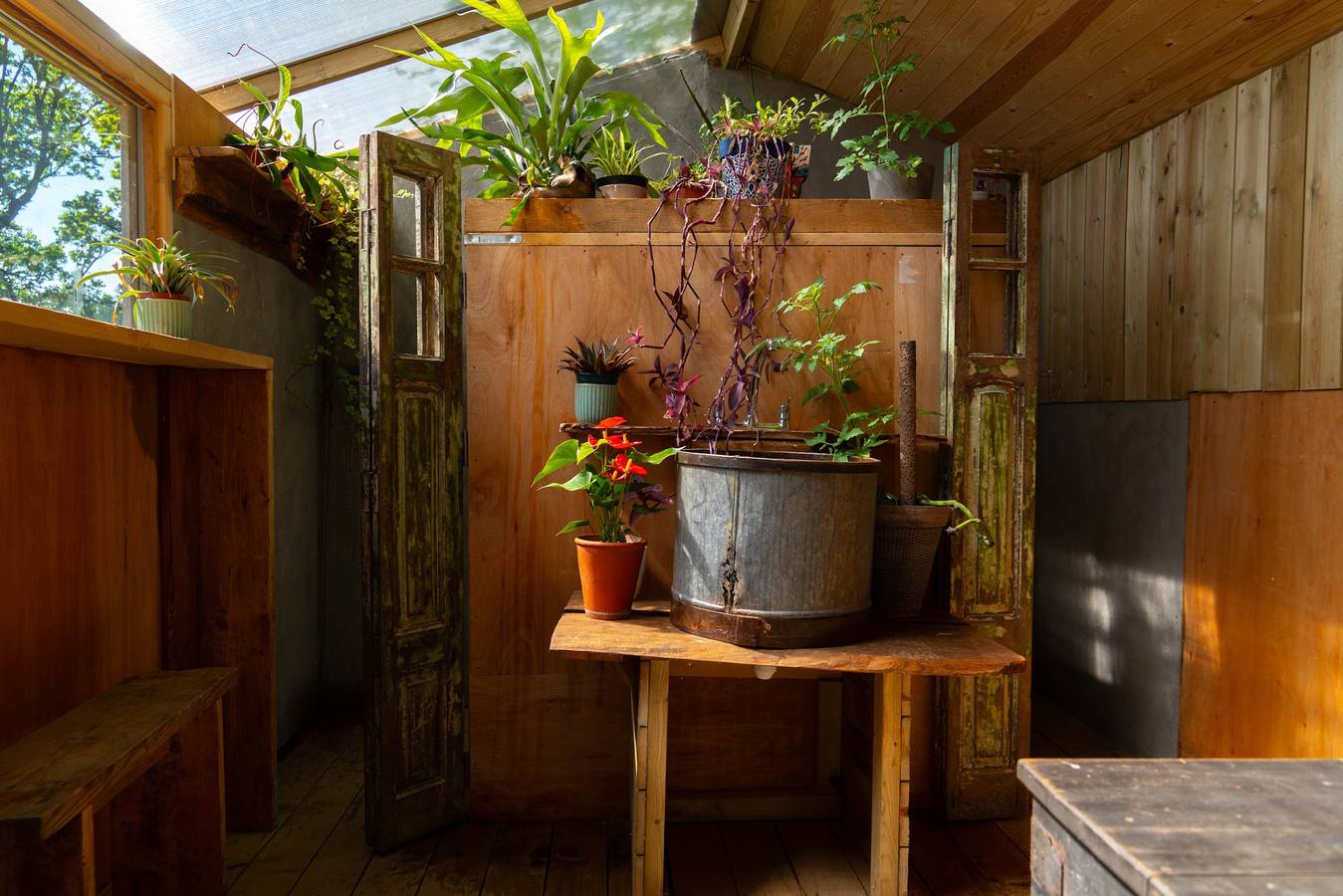 Wood Cabin & 4 Large Bell Tents - Hapus Hideaway in Conwy region