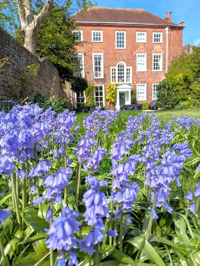 Chambre d’hôte pour 3 personnes, avec jardin et vue à Chichester (Angleterre) - 3