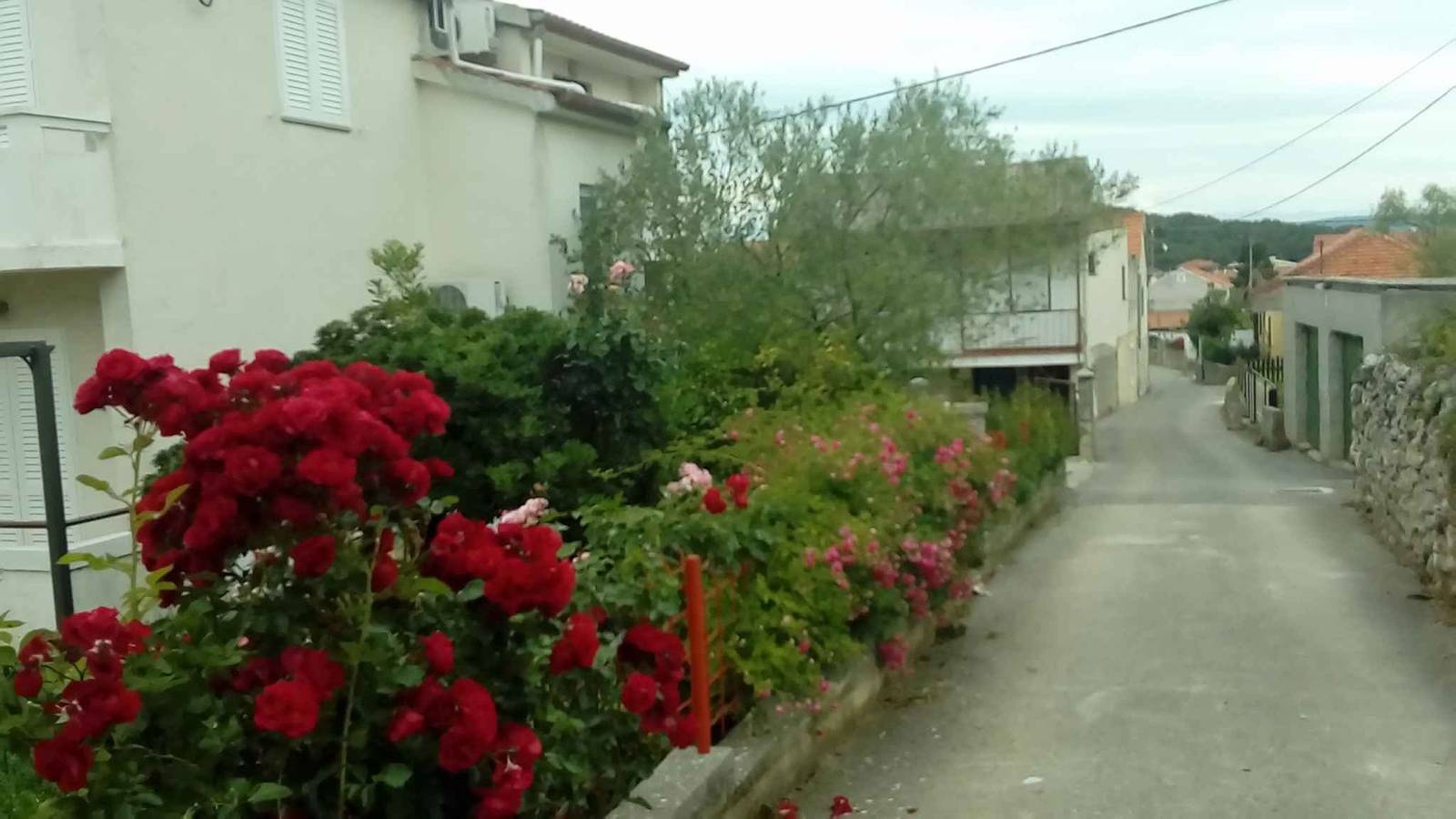 Ganze Ferienwohnung, Ferienwohnung 250 m vom Meer entfernt  in Kukljica, Insel Ugljan
